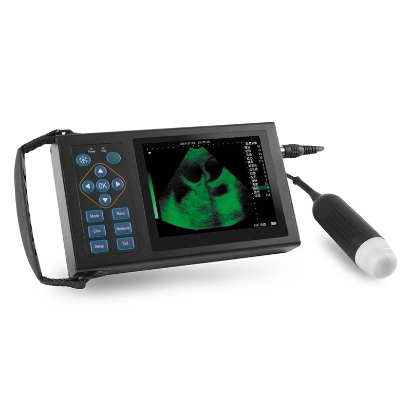 Portable Ultrasound Scanner Veterinary Pregnancy